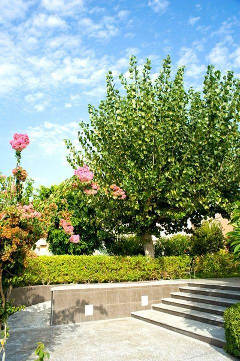 Alfa Hotel Apartments Gerani  Exteriér fotografie